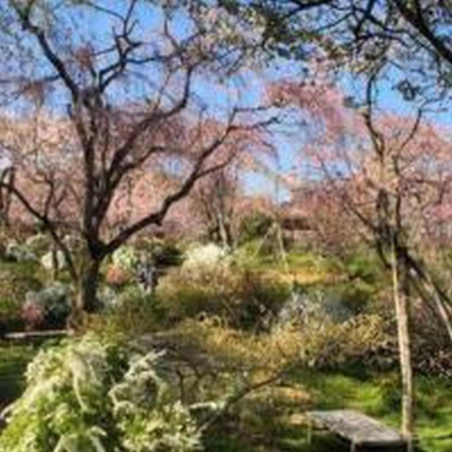 Appartamento むつみ庵此花601 Osaka Esterno foto